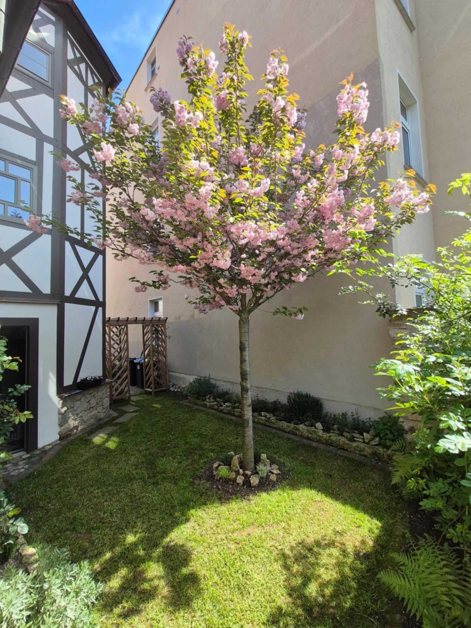 Aussergewoehnliches, Historisches, Spaetgotisches Wohnhaus Von 1519, Gries 5 格拉 外观 照片